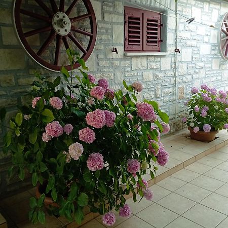 Apartman Sunce Umag Luaran gambar