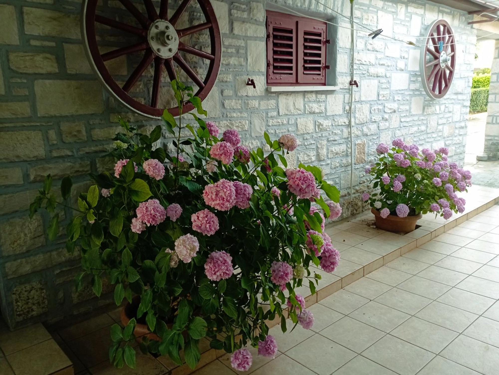 Apartman Sunce Umag Luaran gambar